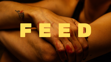 Feed cover photo