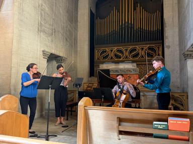 Affect Quartet takes off! cover photo