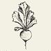 Taproot Creatives avatar photo