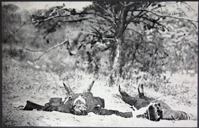 THOU SHALT NOT: a resurrection of the infamous Hall-Mills double homicide of 1922 cover photo
