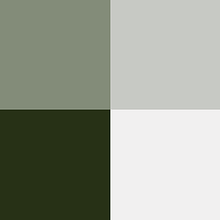 studioELL avatar photo