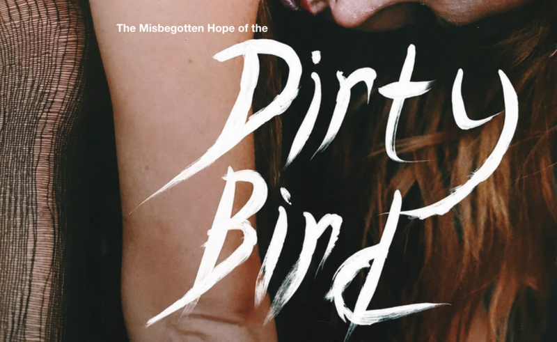 Dirty Bird | Twenty Somethings Productions cover photo