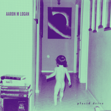 Placid Drive (Album) avatar photo