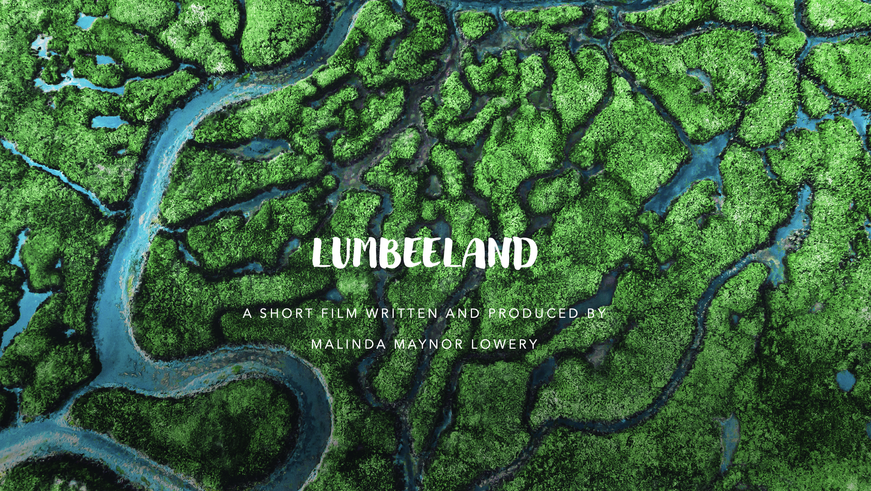 LUMBEELAND: A Strong Start cover photo