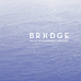 The Bridge Initiative avatar photo