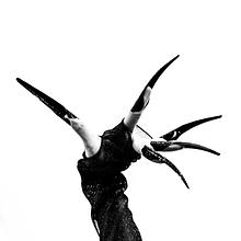 KAŌS avatar photo