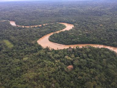 Into the Amazon: Support Our Next Documentary cover photo