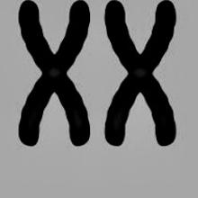 Mxx: Mother Care aka The Dignity Project avatar photo