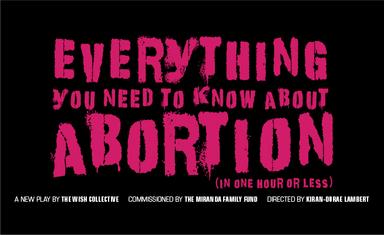 Everything You Need To Know About Abortion (in one hour or less) cover photo
