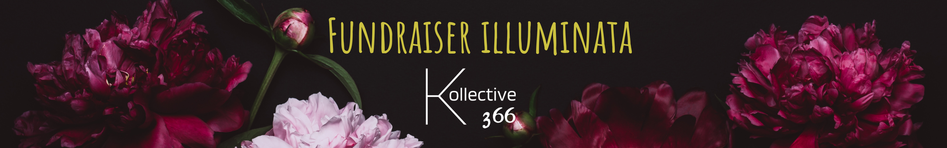 Fundraiser Illuminata  cover photo