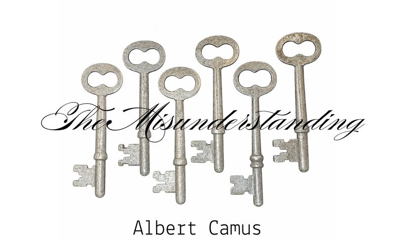 The Misunderstanding cover photo
