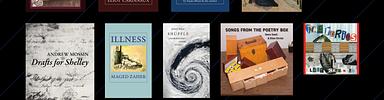 The Bodily Press: A Focus on Distribution cover photo