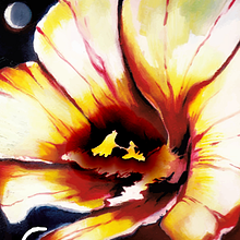 Song of Solomon: A New Musical avatar photo