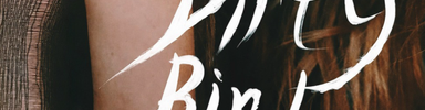 Dirty Bird | Twenty Somethings Productions cover photo