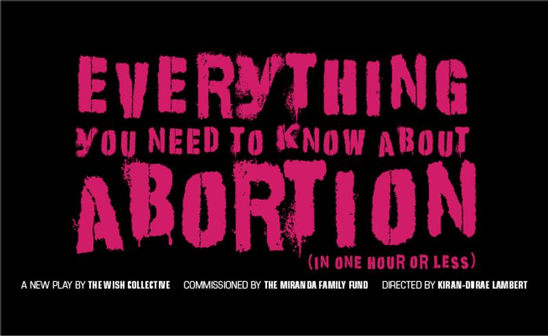 Everything You Need To Know About Abortion (in one hour or less) cover photo