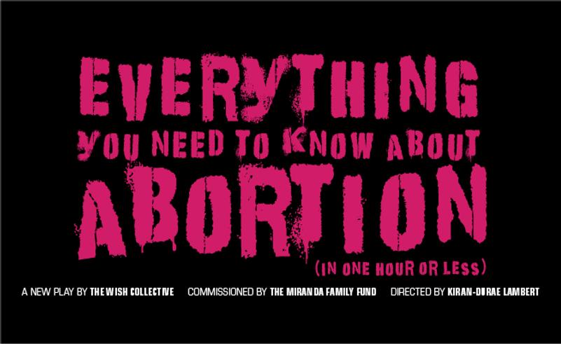 Everything You Need To Know About Abortion (in one hour or less) cover photo