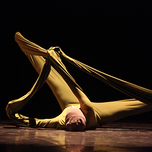 Vervet Dance/Loren Groenendaal avatar photo